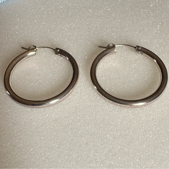 Ana Luisa classic silver hoop earrings - Picture 2 of 2